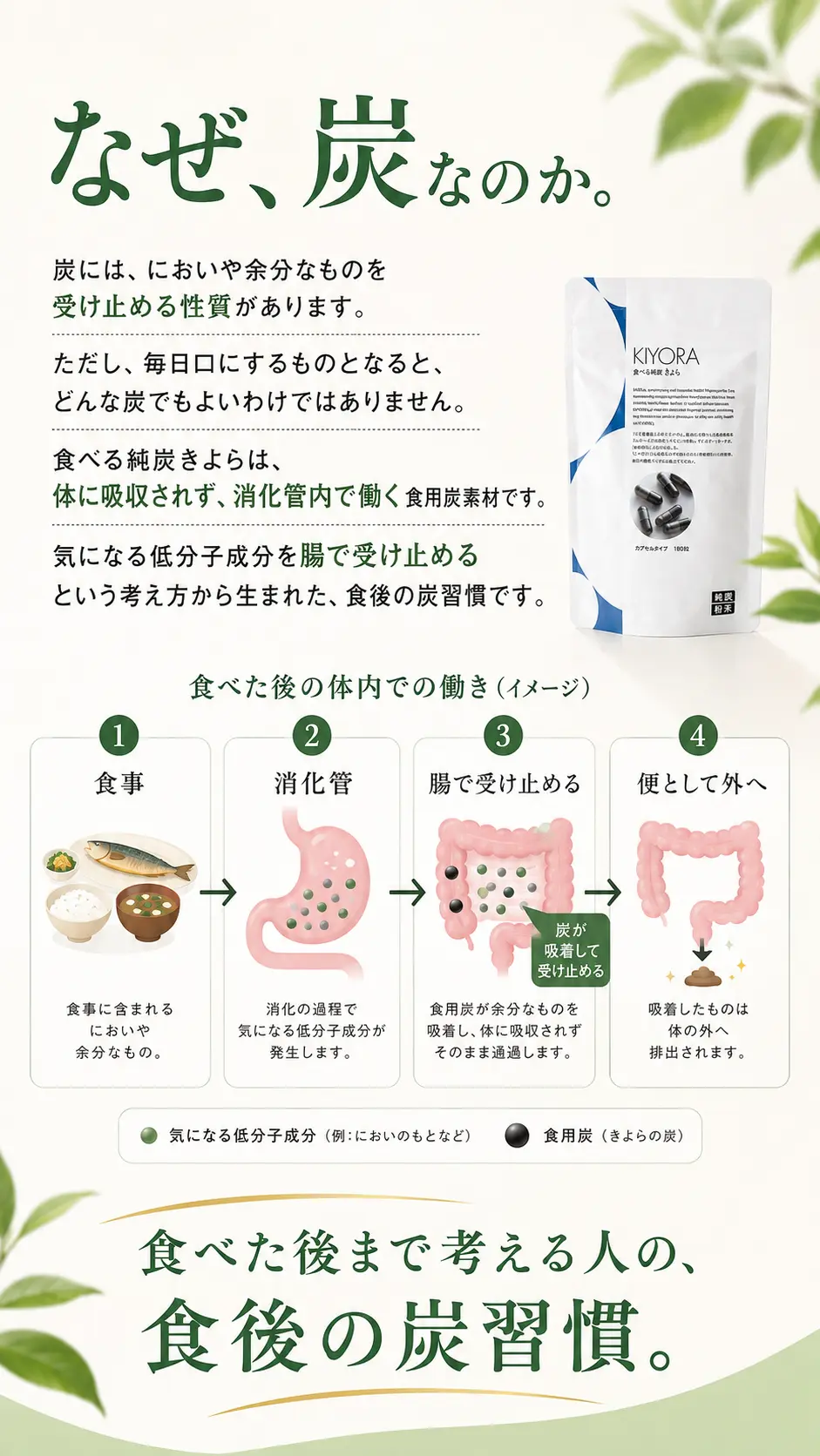食べる純炭きよらは、食事や消化の過程で生じるインドール、スカトール、AGEsなどの低分子成分に着目しています。