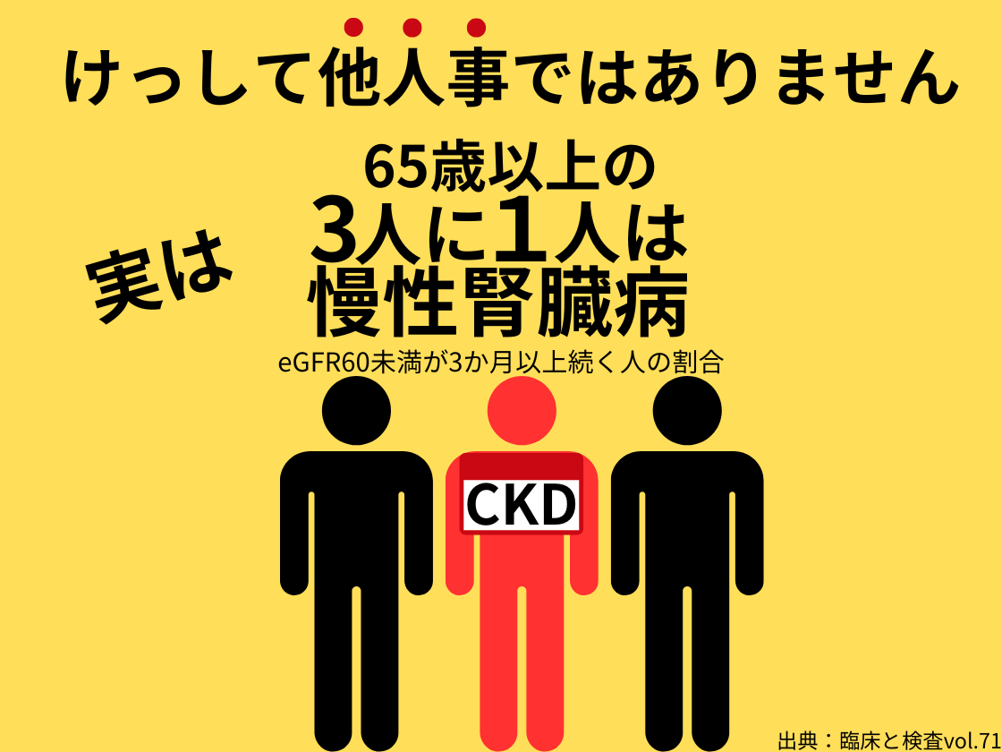 腎臓病は他人事ではありません。65歳以上の3人に1人は慢性腎臓病です。