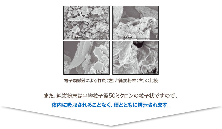 電子顕微鏡による竹炭と純炭粉末の比較