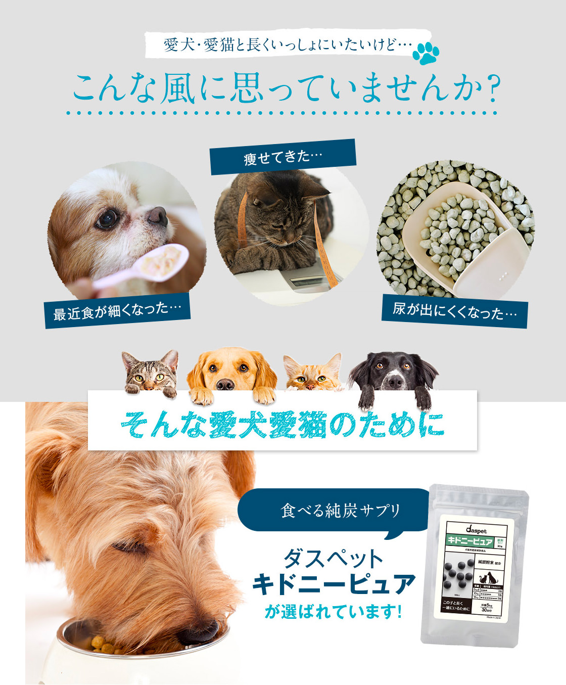 キドニーピュアが選ばれております!