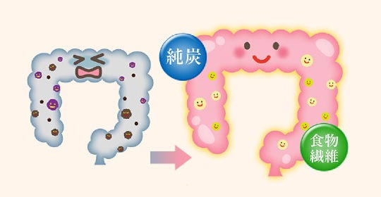 純炭粉末と食物繊維の吸着力