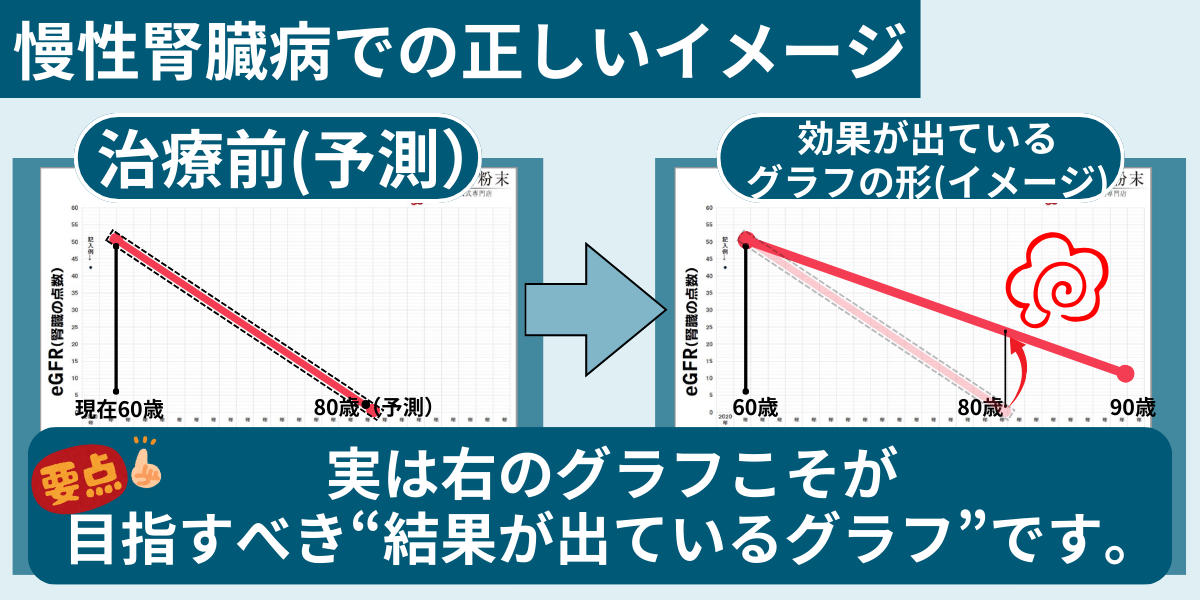 目標とすべきeGFRグラフの形と変化。