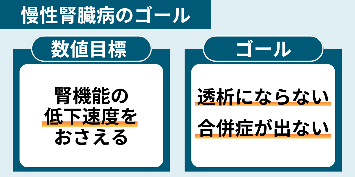 腎臓病治療の目標は透析はいらず天寿を全うすること