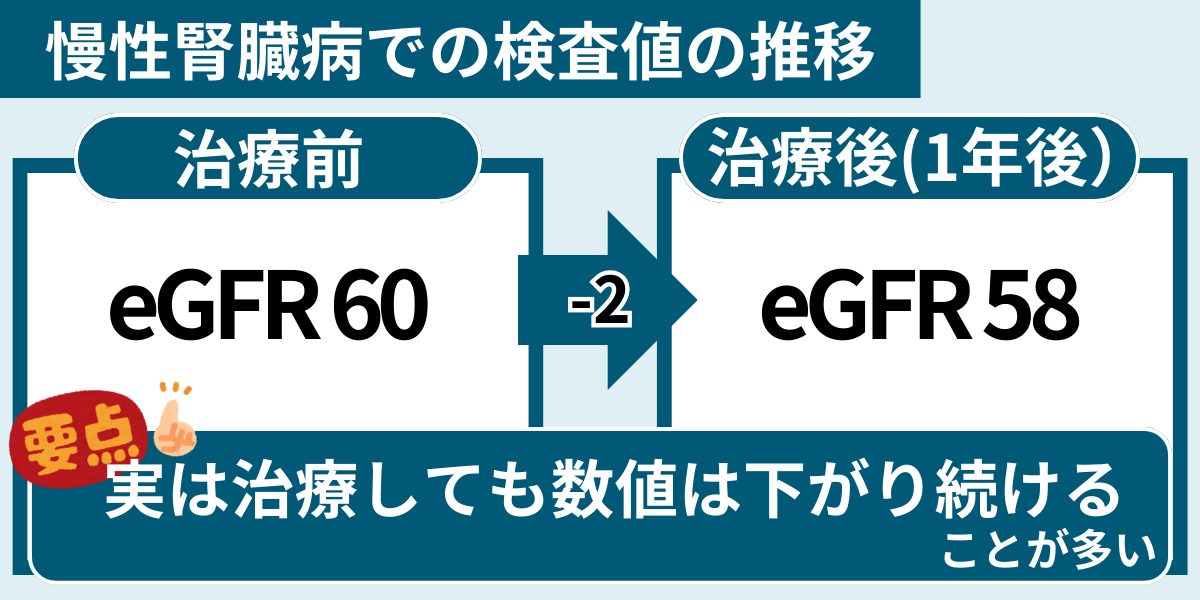 腎臓の値eGFRは下がり続けるものである。