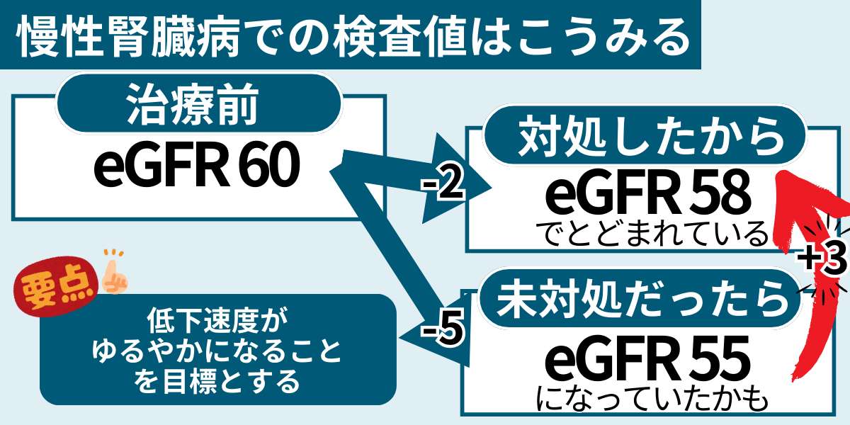 腎臓の値eGFRは低下量の把握が必要です。
