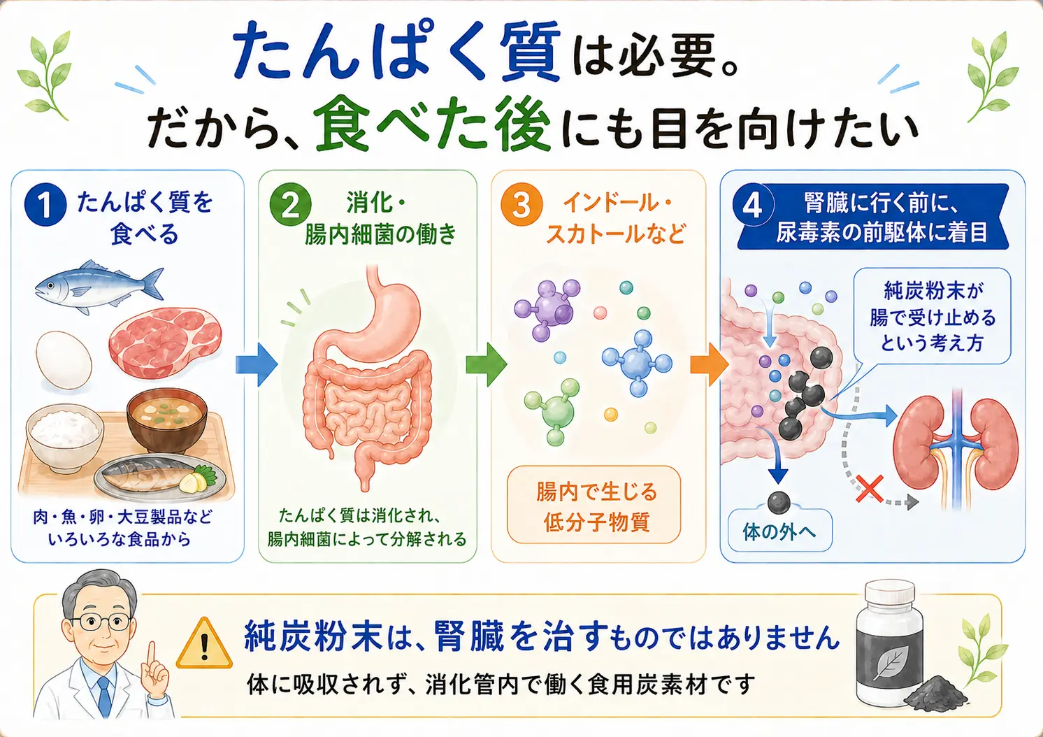 たんぱく質は必要。だから、食べた後に生じるものにも目を向ける