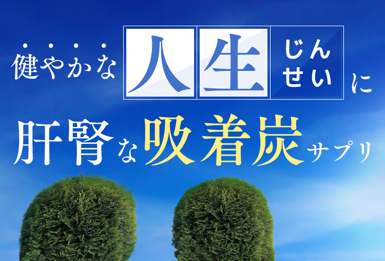 健やかな人生に肝腎な吸着炭サプリ