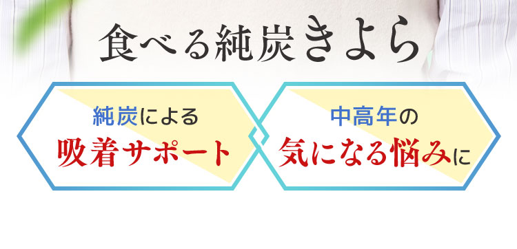 純炭による吸着サポート