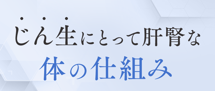 じん生にとって肝腎な体の仕組み