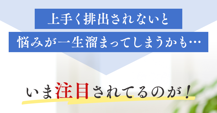 上手く排出されないと悩みが一生溜まってしまうかも…
