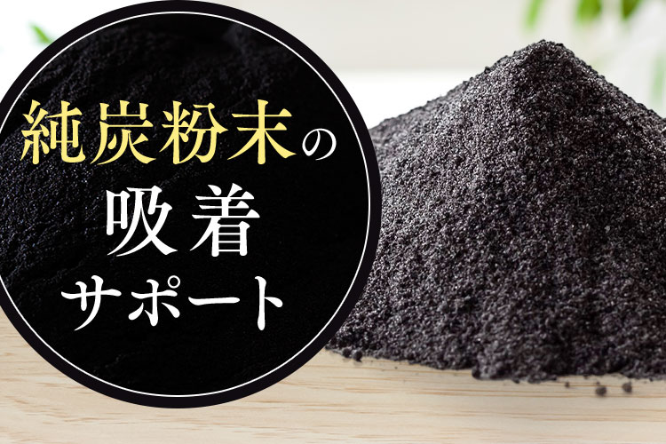 純炭粉末の吸着サポート